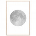 Grey Moon Art Print