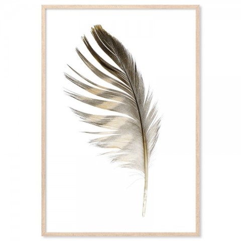 Gold Feather Art Print