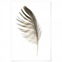 Gold Feather Art Print