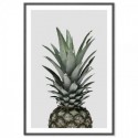 Pineapple Nouveau Grey Art Print