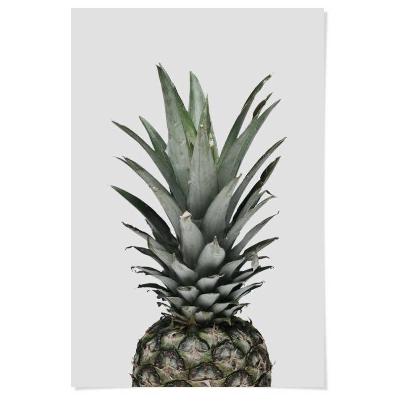 Pineapple Nouveau Grey Art Print