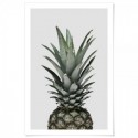 Pineapple Nouveau Grey Art Print