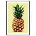 Pineapple On Lime Art Print