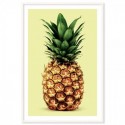 Pineapple On Lime Art Print