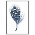 Spotted Fan Feather Art Print