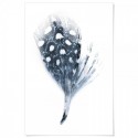 Spotted Fan Feather Art Print