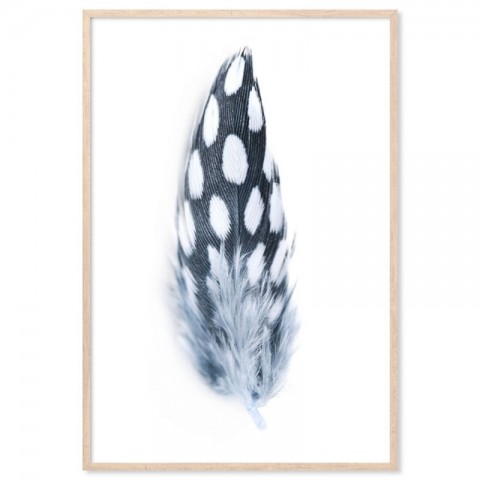 Spotted Feather Art Print