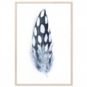 Spotted Feather Art Print