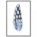 Spotted Feather Art Print