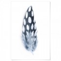 Spotted Feather Art Print