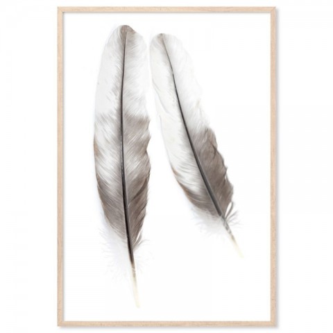 Two Feathers Art Print