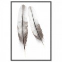 Two Feathers Art Print