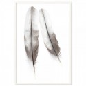 Two Feathers Art Print