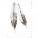 Two Feathers Art Print