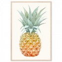 Vintage Pineapple Art Print