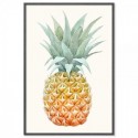 Vintage Pineapple Art Print