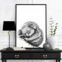 Koala Dreaming Art Print