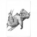 Koala Kip Art Print