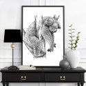 Koala Sleeping Art Print