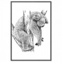 Koala Sleeping Art Print