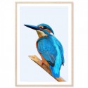 Beautiful Kingfisher Art Print