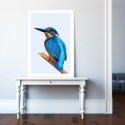 Beautiful Kingfisher Art Print