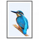 Beautiful Kingfisher Art Print