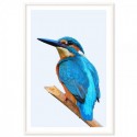 Beautiful Kingfisher Art Print