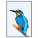 Beautiful Kingfisher Art Print