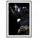 Black Cockatoo Majestic Art Print