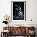 Black Raven Art Print