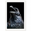 Black Raven Art Print