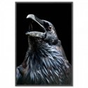 Black Raven Art Print