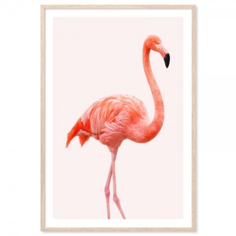 Flamingo Pink Art Print