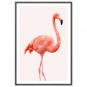 Flamingo Pink Art Print