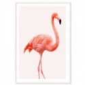 Flamingo Pink Art Print