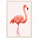 Flamingo Pink Art Print