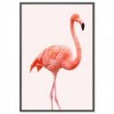 Flamingo Pink Art Print