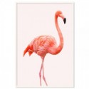 Flamingo Pink Art Print