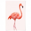 Flamingo Pink Art Print