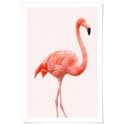 Flamingo Pink Art Print