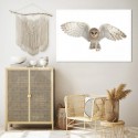 Flying Barn Owl Art Print