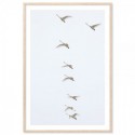 Flying Swans Art Print