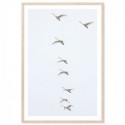 Flying Swans Art Print