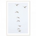 Flying Swans Art Print
