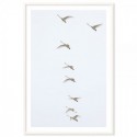 Flying Swans Art Print