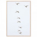 Flying Swans Art Print