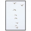 Flying Swans Art Print