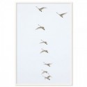 Flying Swans Art Print