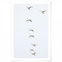 Flying Swans Art Print
